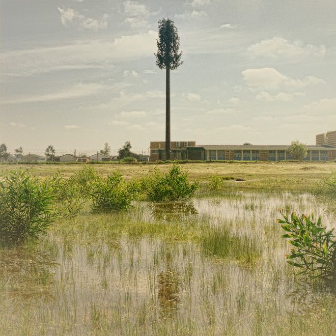 Invasive-Species-02