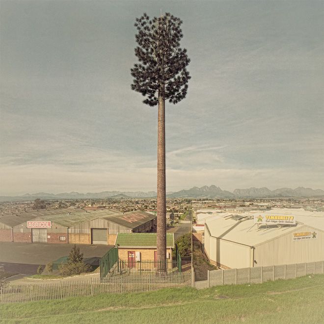 Invasive-Species-06