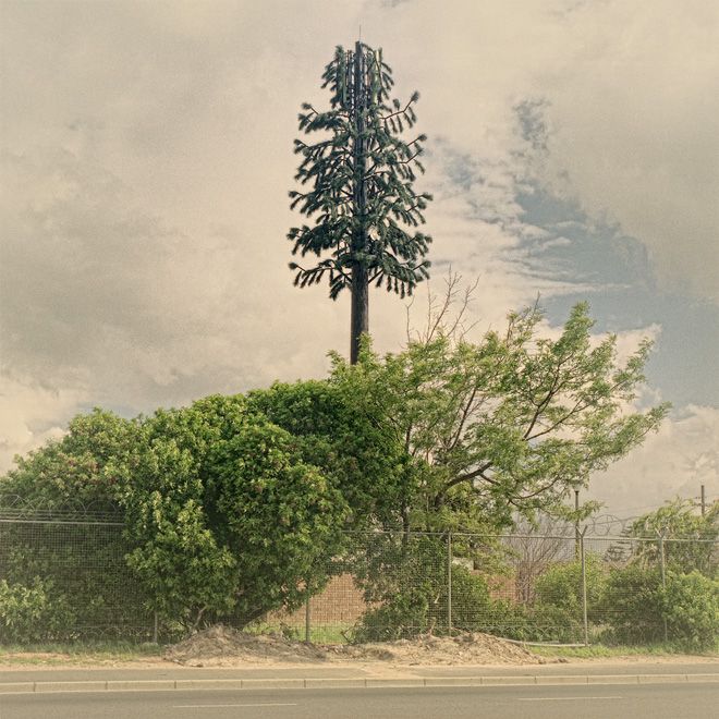 Invasive-Species-07
