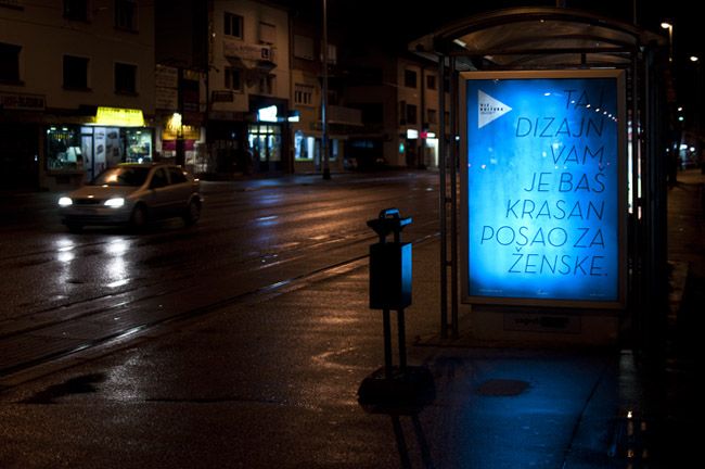 KUNA ZLATICA - nocna
