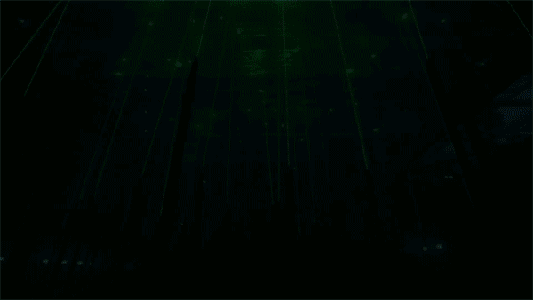 forest-1
