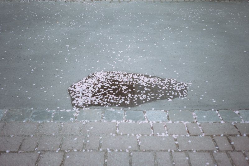 15_sp