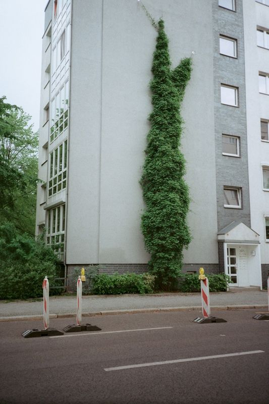 16_sp