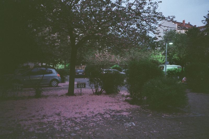 19_sp