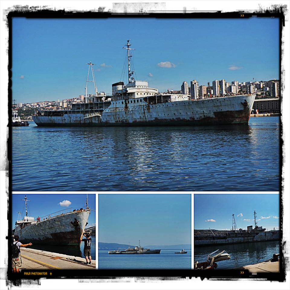 galeb