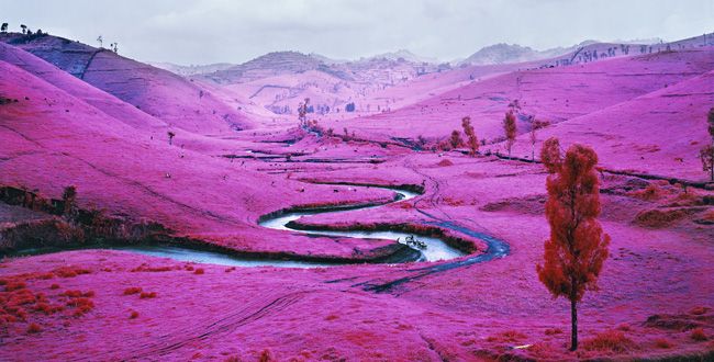 richard-mosse_the-armory-show_galleryIntell