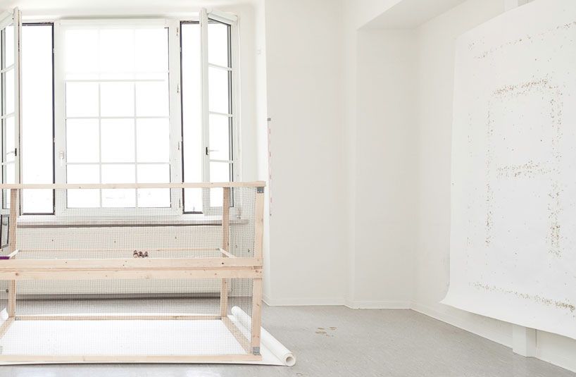 poo-printer-generates-typography-with-birds-fabrizio-lamoncha-designboom-01