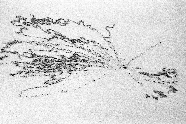 rip_currents_7