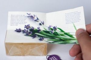 3_lavanda_5