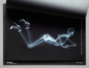 Eizo-Pin-up-Calendar-2010-1