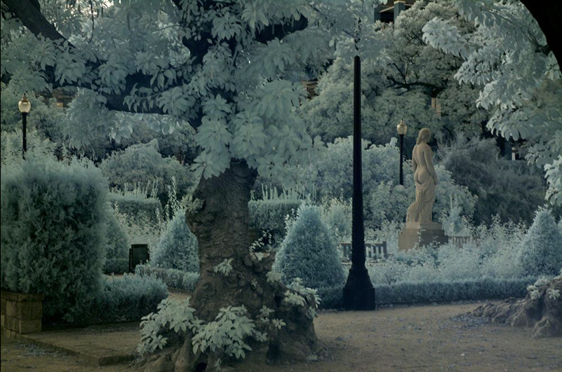 Reed-Romanticism-6-600x399