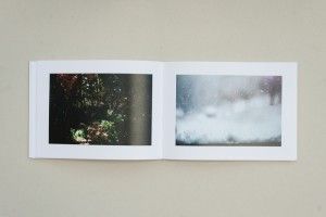 Sara Kirsic-4