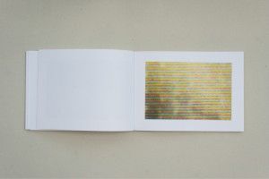 Sara Kirsic-5
