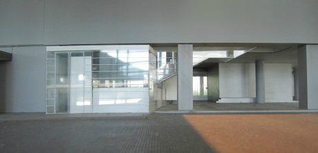 msu