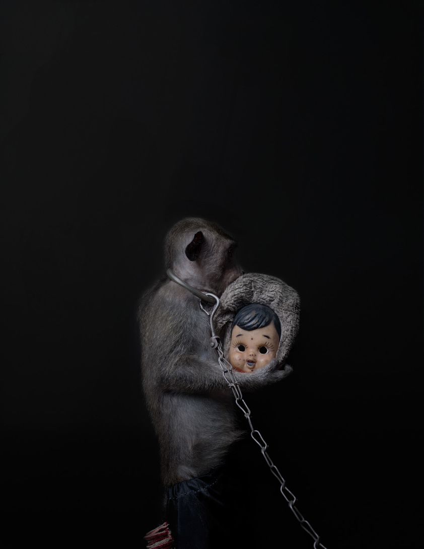 110x85cm-5