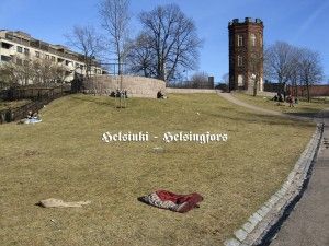 niittyvirta_helsinki_028