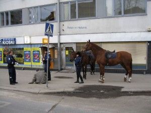 niittyvirta_helsinki_064