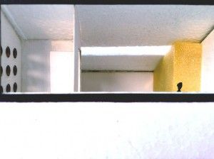 rap_16
