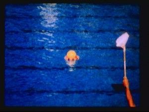 water-pulu-web