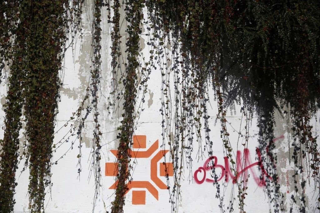 12-Weeds-grow-over-the-walls-of-the-Kosovo-Stadium-