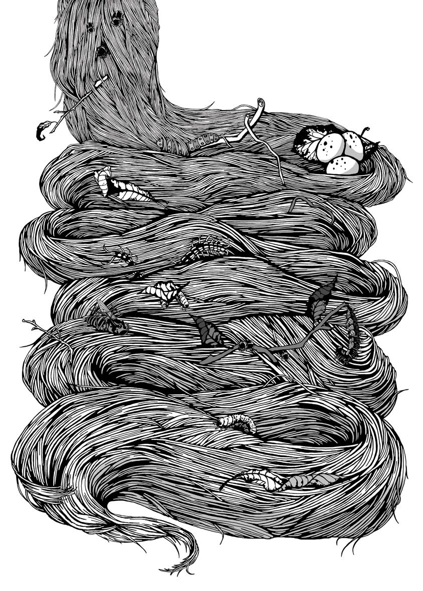 06 Ana Somek Rapunzel