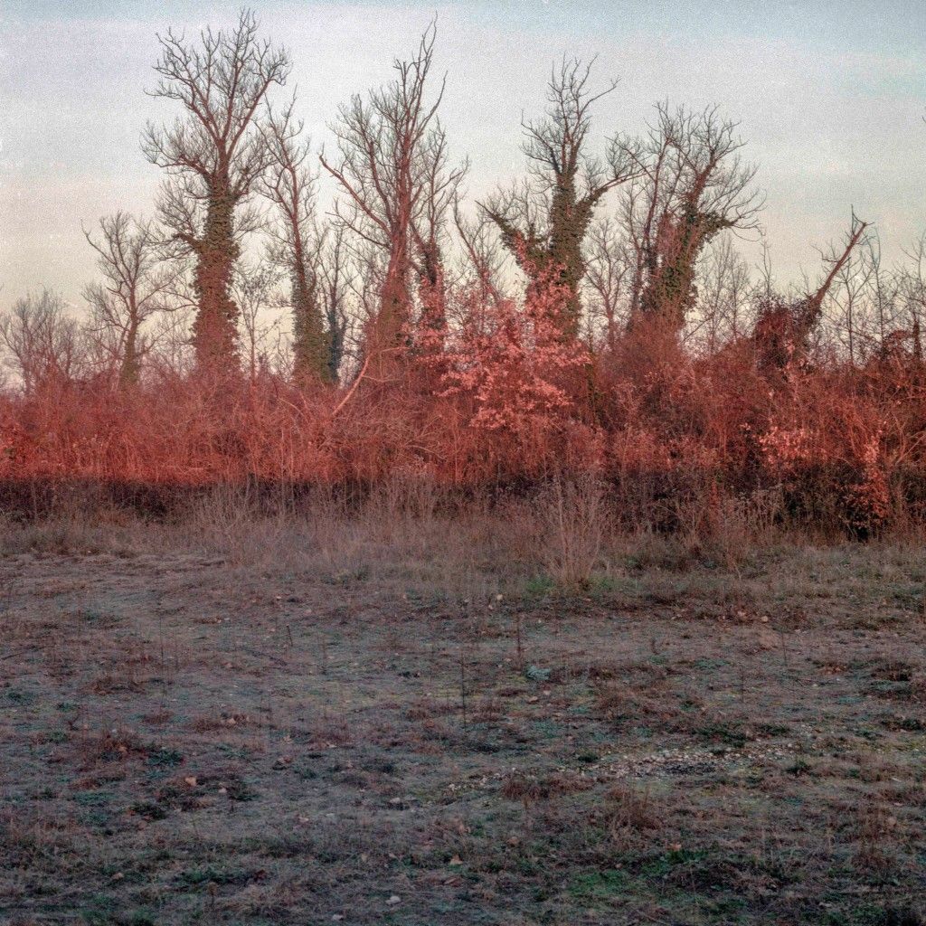 NikolaŠerventić02