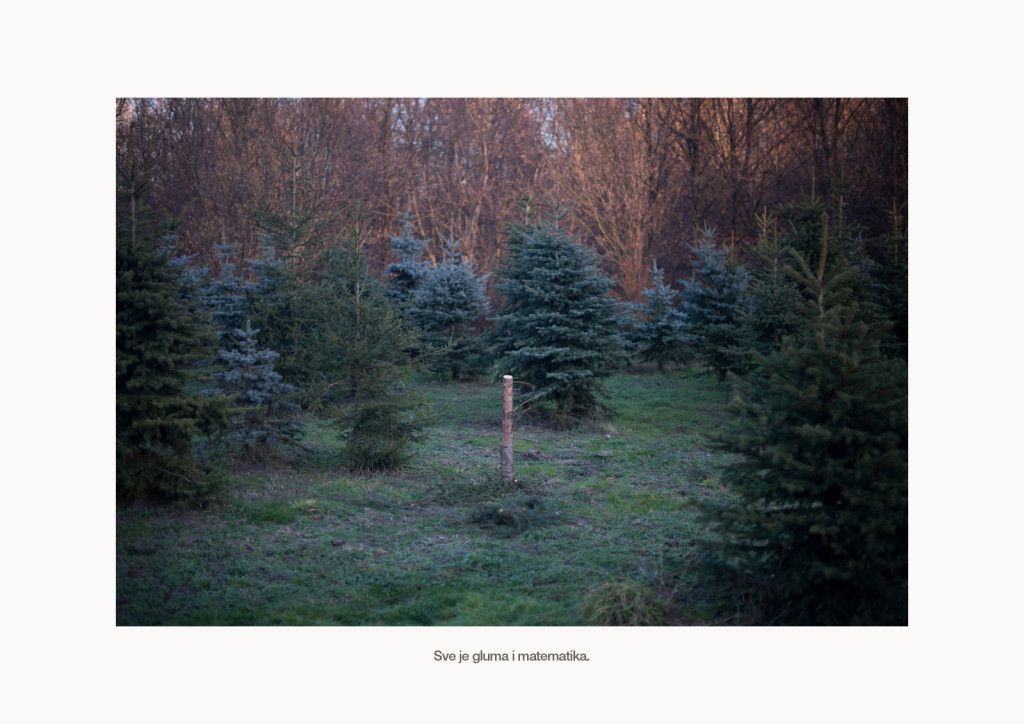 Tt-Šumor--2