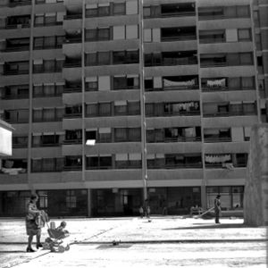 travno5_web_300