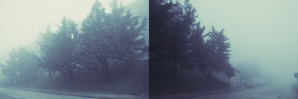 04 dishotomija I