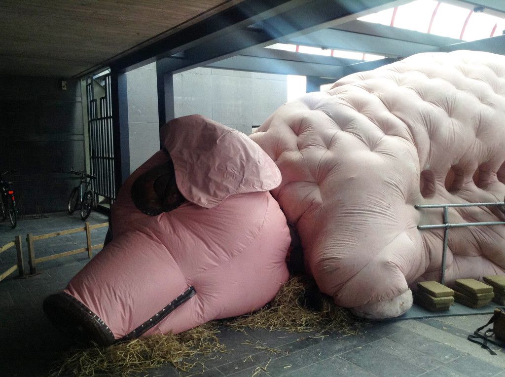 Krokusfestival, Hasselt