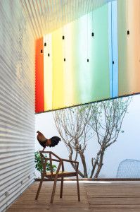 view_to_the_back_yard