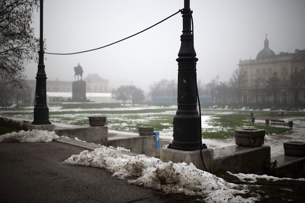 5T9C6654