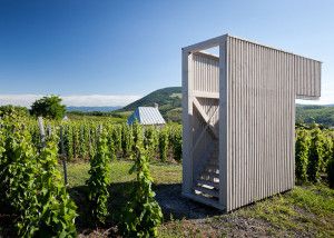 AES-Wine-Terrace-and-Spa-by-Peter-Gereben-and-Balazs-Marian_dezeen_784_8