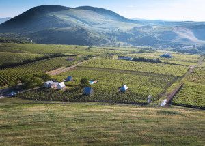 AES-Wine-Terrace-and-Spa-by-Peter-Gereben-and-Balazs-Marian_dezeen_784_ss_2