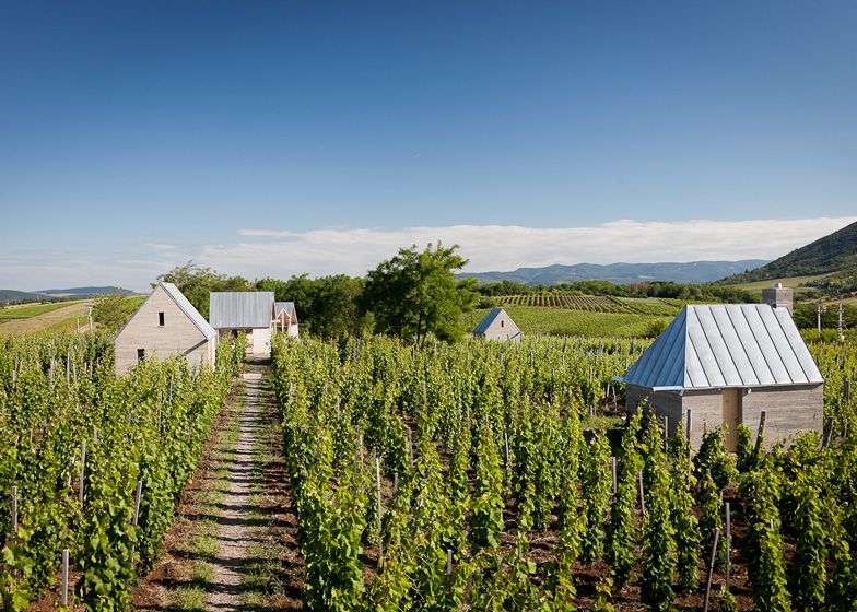 AES-Wine-Terrace-and-Spa-by-Peter-Gereben-and-Balazs-Marian_dezeen_784_ss_3