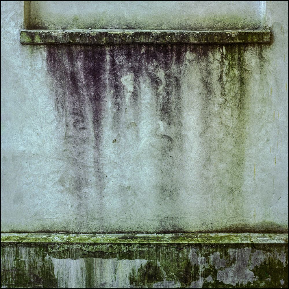 zid (1)