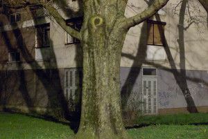 06Marko Ercegovic SLOBODNO MJESTO Zagreb 2007