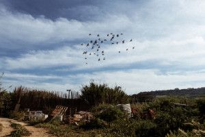 IMG_4578_1