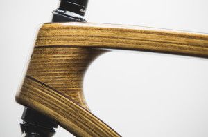 A headtube detail of the new Tratar Bikes wooden bicycle pictured in the studio