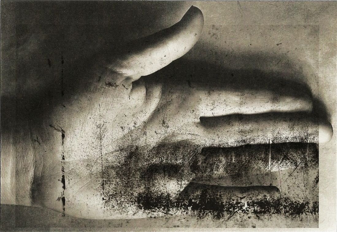albin guilllot