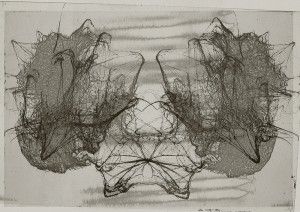 meduza dupla