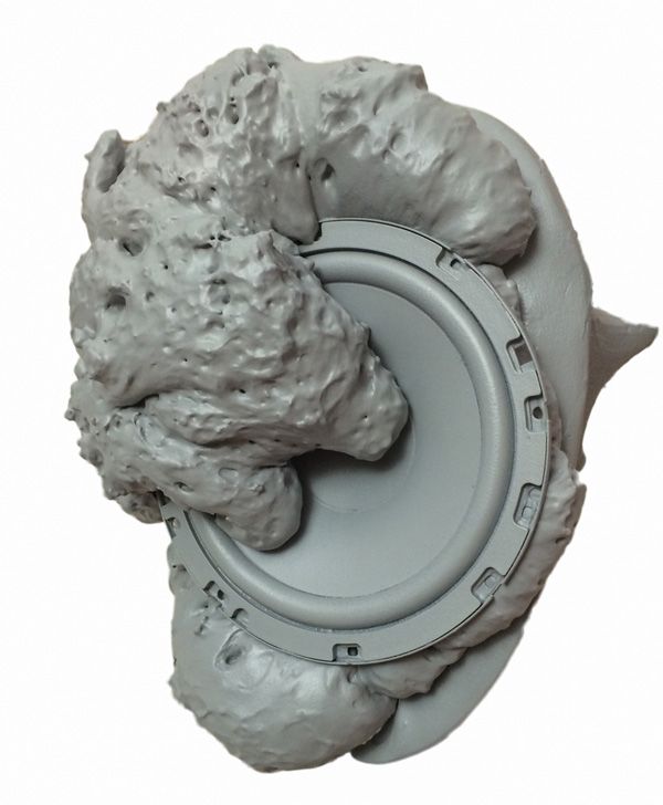 unnamed zizizc kozul