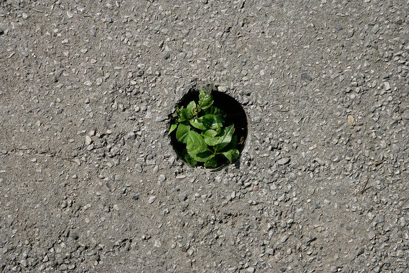 cuvaj_svoju_tajnu_26