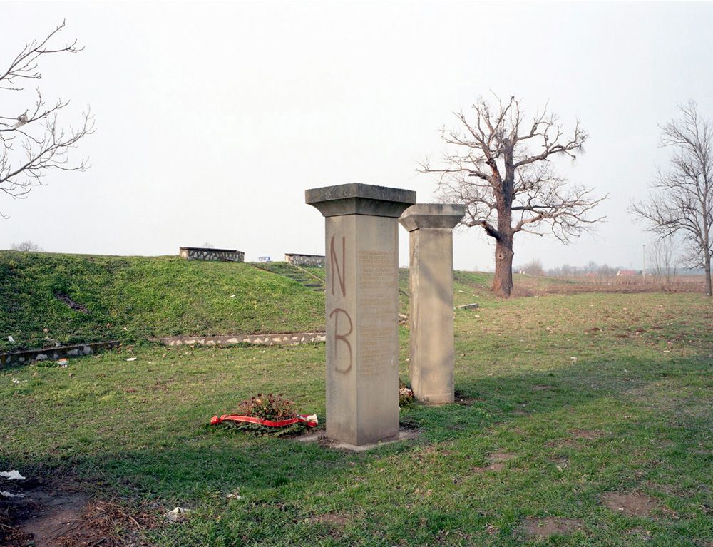 011 MVasiljevic_Trans