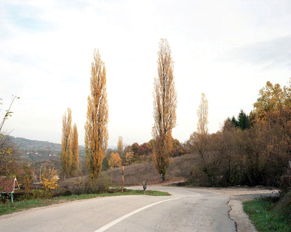 015 MVasiljevic_Trans