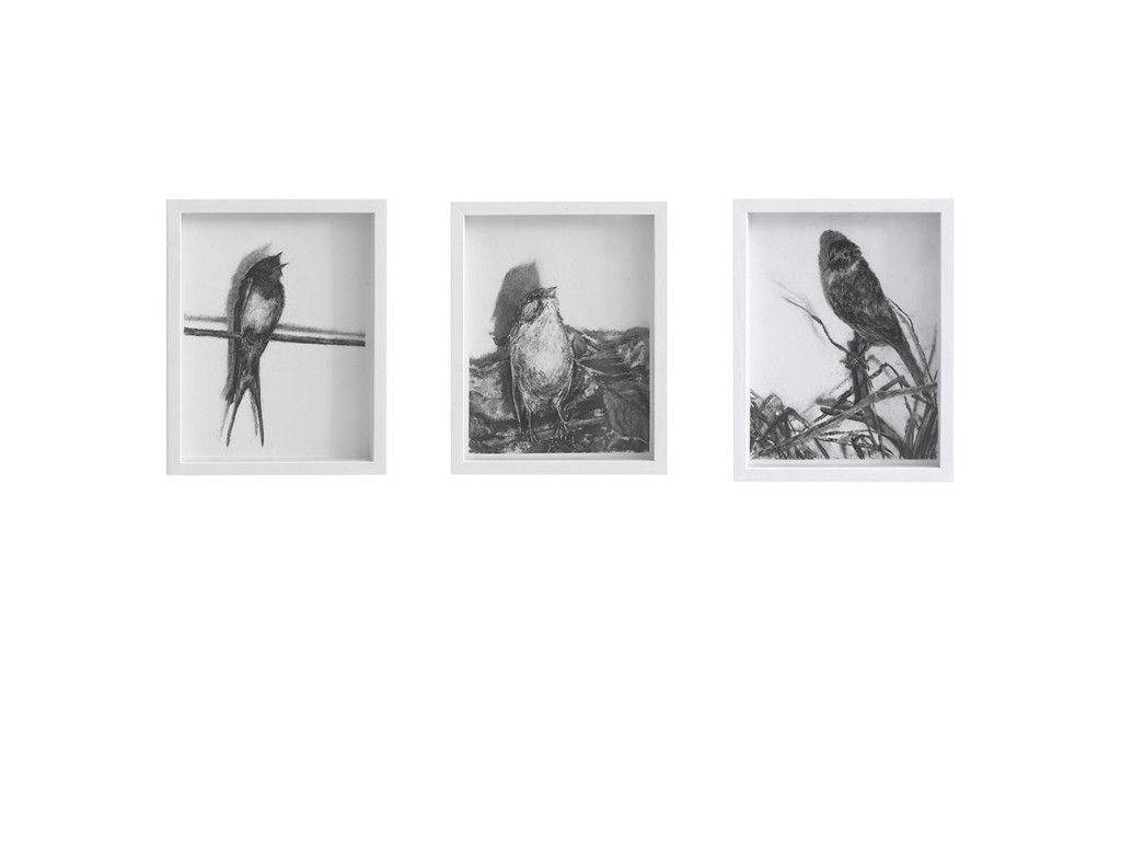 06KIvanisinK_Hirundo rustica Emberiza cia Emberiza cirlus_2012_ugljen na papiru