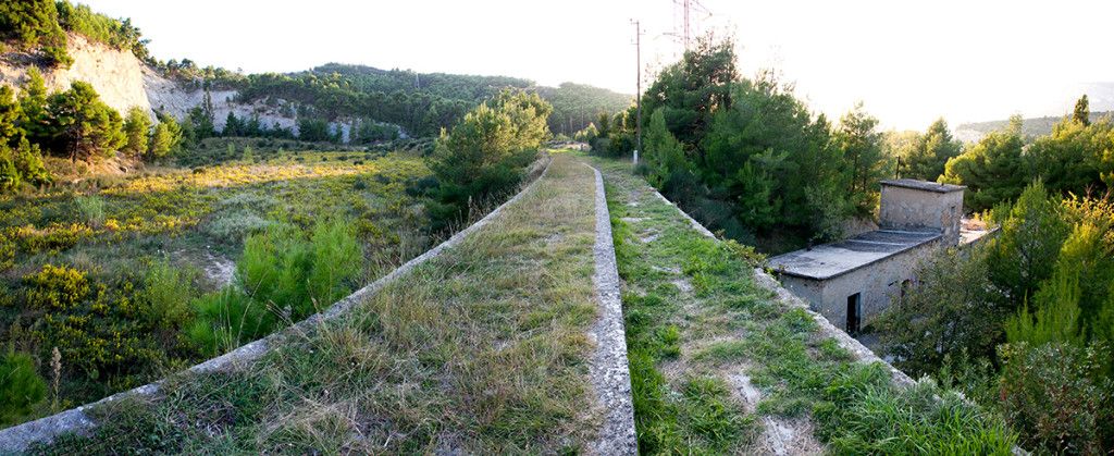 Foto_Marijo Bašić