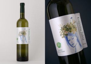 KraljevinaZelina_Vizkultura10