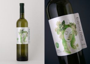 KraljevinaZelina_Vizkultura13