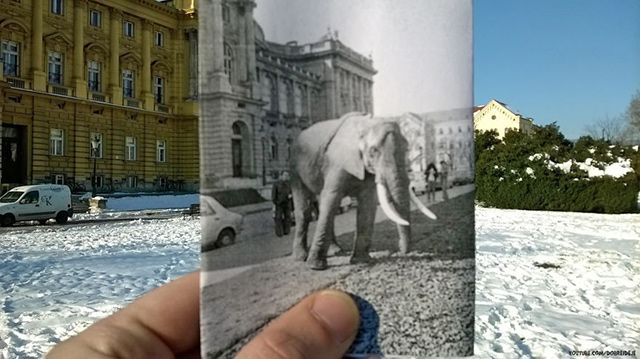 dobreideje5